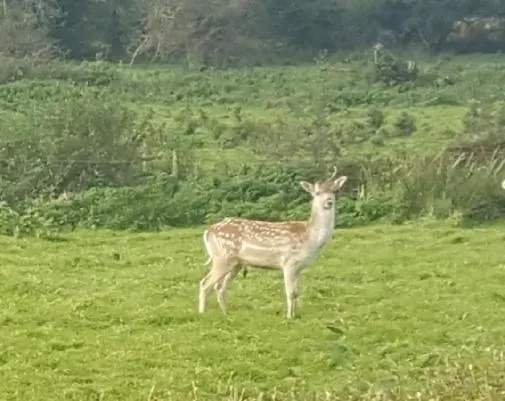 The Stargazing - Romantic Mountain Letterbarrow