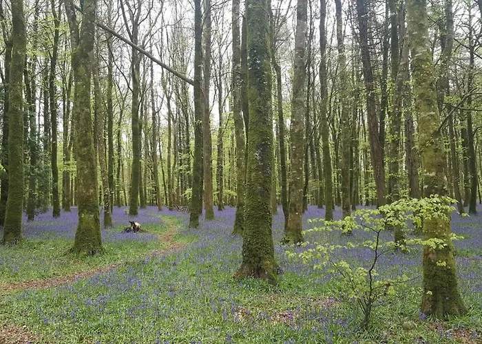 Tatil Evi The Stargazing - Romantic Mountain Letterbarrow