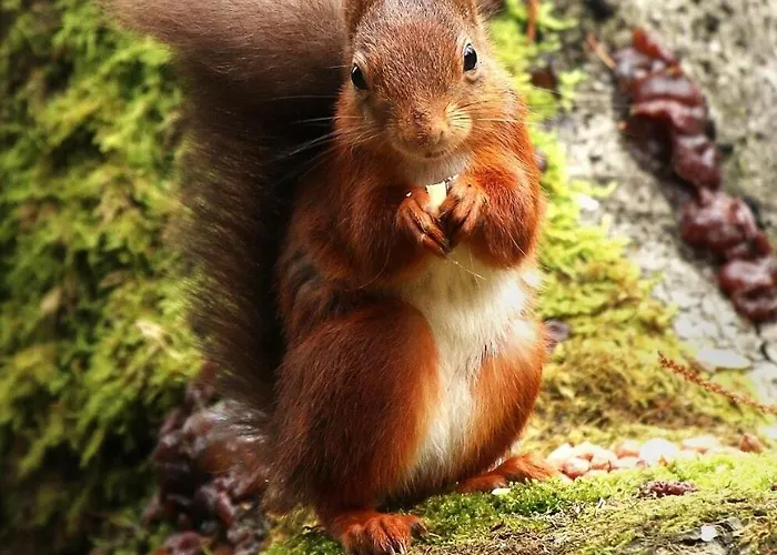 بيت للعطل The Stargazing - Romantic Mountain